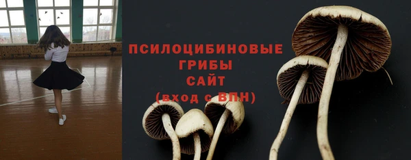 MESCALINE Новозыбков