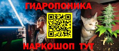 мдма Гатчина