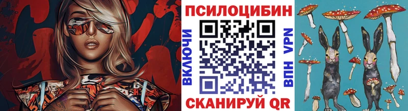 кракен   Югорск  Псилоцибиновые грибы Cubensis 