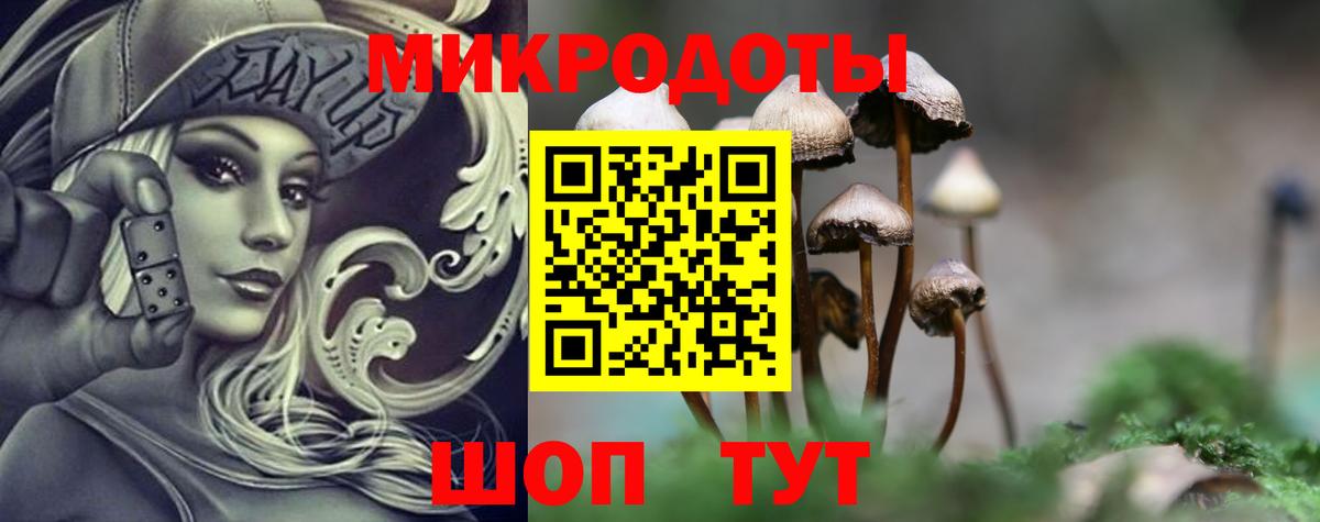 Галлюциногенные грибы Cubensis  Югорск  дарнет шоп  Псилоцибиновые грибы ЛСД 